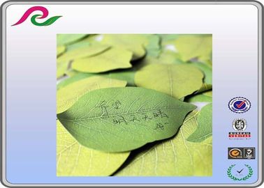 Green ink offset printing fresh leaf shape decoration sticky notes